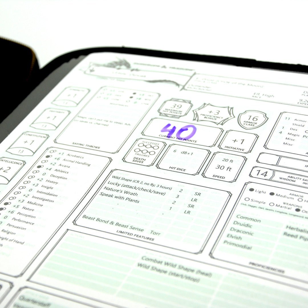 DND Players Travel Case